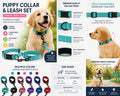 Adjustable Dog Harness – No-Pull, Breathable & Comfortable for Daily Walks