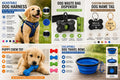 Collapsible Dog Travel Bowl – Portable, Lightweight & Easy to Carry